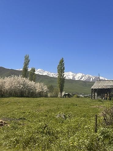 сузики вагон р: 24 соток, Для строительства, Красная книга, Договор купли-продажи — 4