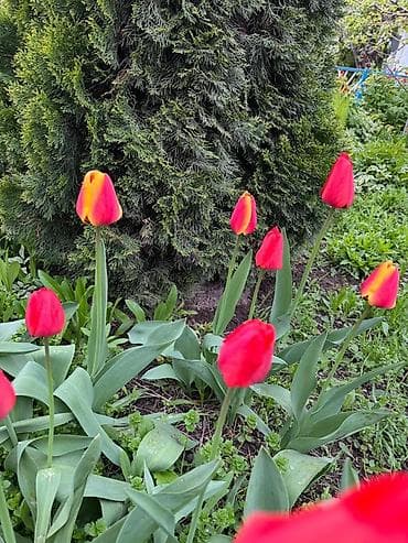 письменные столы бишкек: Самовывоз — 1