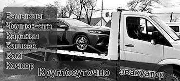 С лебедкой