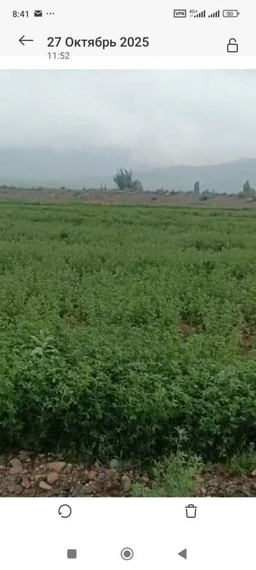 аренда земли поле: Для сельского хозяйства — 5