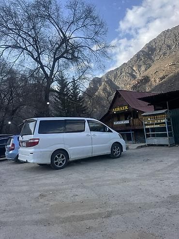 китайский минивэн купить: Toyota Alphard: 2004 г., 3 л, Автомат, Газ, Минивэн — 7