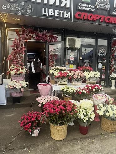 цветы для офиса купить: Продаётся готовый бизнес 📍 Район: Аламединский, 1 линия 	•	Бизнес — 5