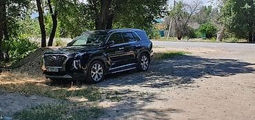 на шею подушка: Hyundai Palisade: 2019 г., 2.2 л, Автомат, Дизель, Кроссовер — 1