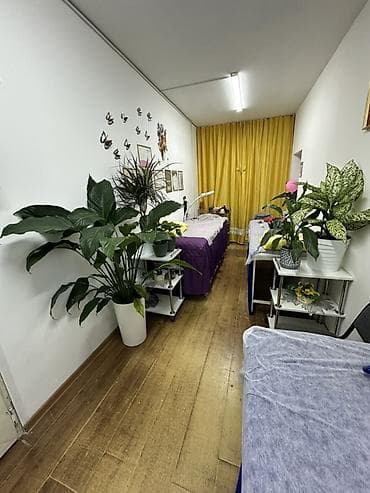 мусульманский салон: Аренда кабинетов в салонах красоты, 22 м², Для визажиста, Для лешмейкера, Для шугаринга, эпиляции — 1