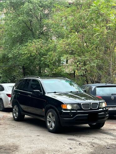 BMW X5: 2001 г., 4.4 л, Автомат, Бензин, Внедорожник