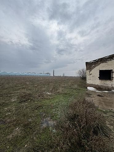 б у фермы: Сдам в аренду ангары между аэропортом и новым ошским рынком, так же — 5