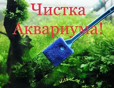 Буюртмага тосмолор: Предлагаем услуги по чистке аквариумов. профессиональный подход наших — 1