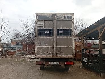 лёгкий грузовой: Легкий грузовик, Mercedes-Benz, Стандарт, Б/у — 3