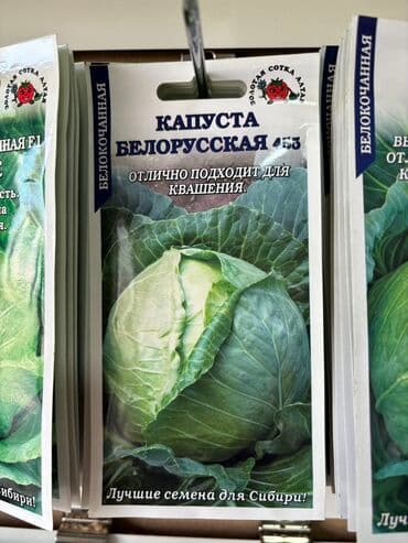 морковь семена: Семена капусты «Колобок» «Амагер 611» «Московская Поздняя 15» «Слава — 6