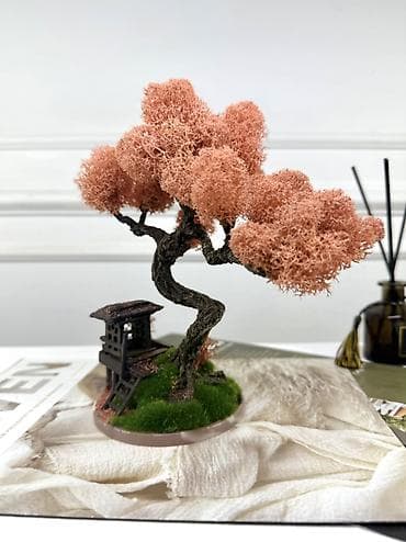 бонсай дерево: Декоративное настольное деревце Бонсай из стабилизированного мха- — 10