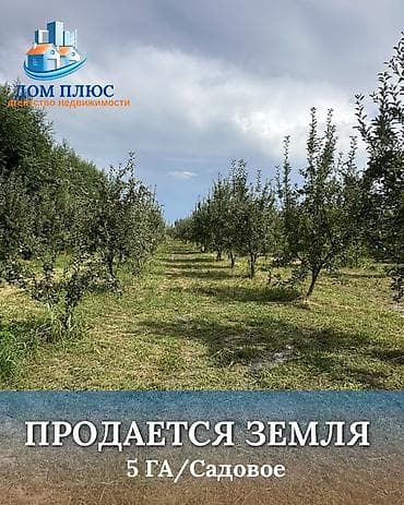 Кыймылсыз мүлк: 500 соток, Айыл чарба үчүн — 1