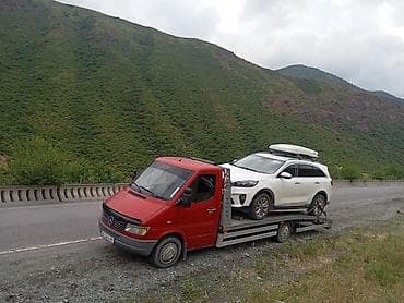 С лебедкой