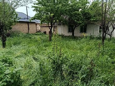 дом кунту: ПРОДАЕТСЯ ДОМ село Күн-Туу, 2 линия от центральной трассы, рядом — 6