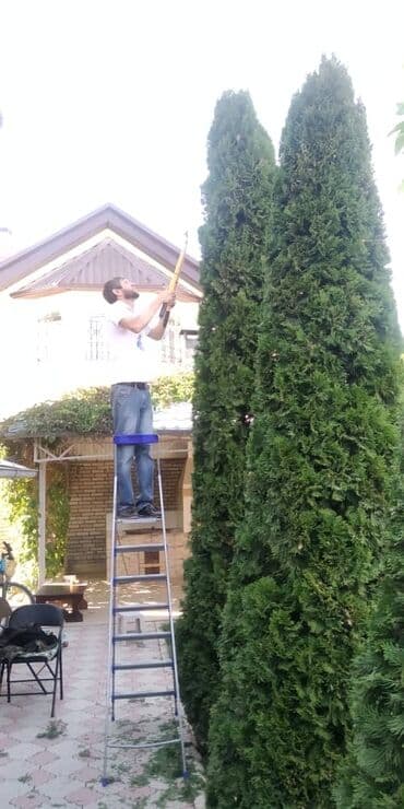 услуги медсестры капельницы уколы на дому: Уборка территории, Уход за деревьями — 9