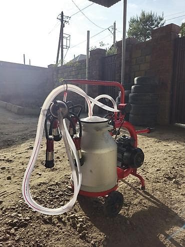 апарат дойный: Продаю в идеальном состоянии турецкий доильный аппарат для — 3