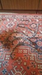 тормозные колодки nibk: NissanMaximA34-2005г.,Тормозные шланги(передние) В хорошем — 1