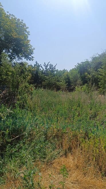 полдом: Полдома, 48 м², 3 комнаты, Собственник, Старый ремонт — 10