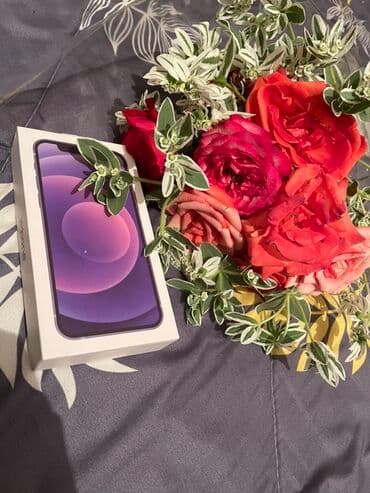 Аудиотехника: IPhone 12, Б/у, 256 ГБ, Коробка — 1