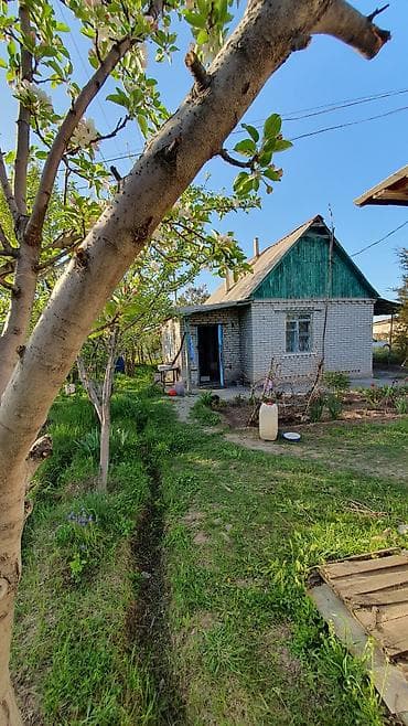 ата журт п: Продается дачный времянка 2 комнаты с коридором, есть сарай, баня — 4