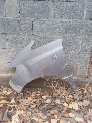 полировщик авто: Переднее левое Toyota, Б/у, Оригинал — 1