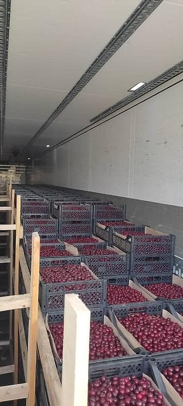 Сүт азыктары жана жумурткалар: Чие Акылуу жеткирүү — 6