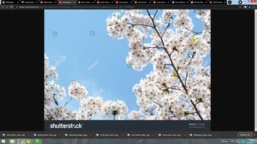 требуются монтажники натяжных потолков: Натяжной потолок 3D потолки, Глянцевое, Матовое Демонтаж, Бесплатный замер, Монтаж — 8