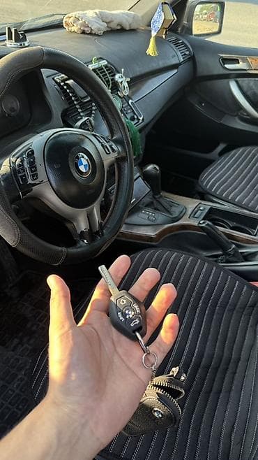 гур е39: BMW X5: 2003 г., 4.6 л, Автомат, Газ, Кроссовер — 8