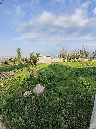 земля в беловодске: 5 соток, Красная книга — 2