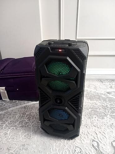 psp 2013: - Форм‑фактор: напольная колонка-тележка с выдвижной ручкой и — 5