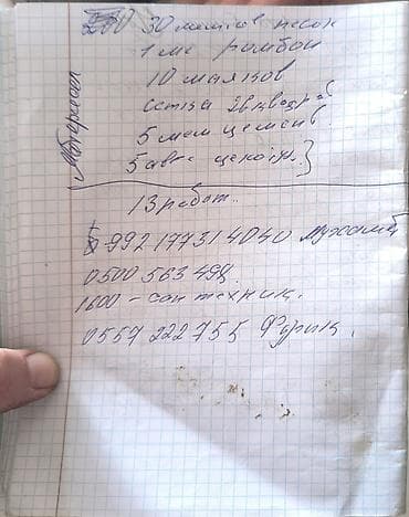 сауна на двоих: Парная/хаммам с облицовкой мозаикой - Помещение с арочным сводом — 8