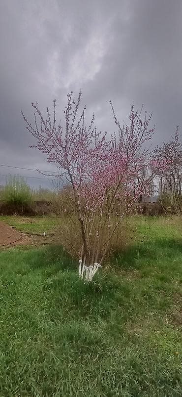 продавец выпечки: Повар Горячий цех. С опытом — 1