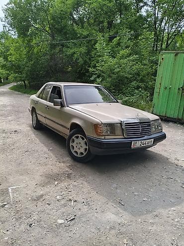 Mercedes-Benz W124: 1989 г., 2.5 л, Механика, Дизель, Седан
