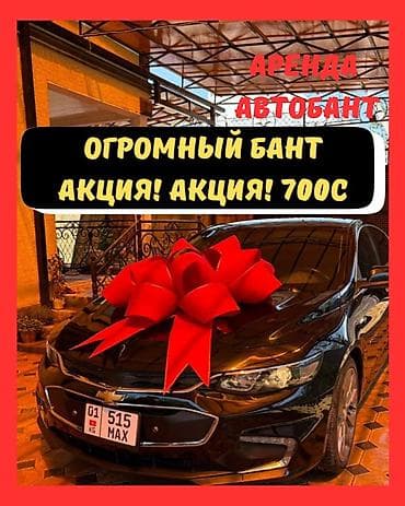 аренда декор: Аренда огромного праздничного банта для авто. - Размер: крупный — 1