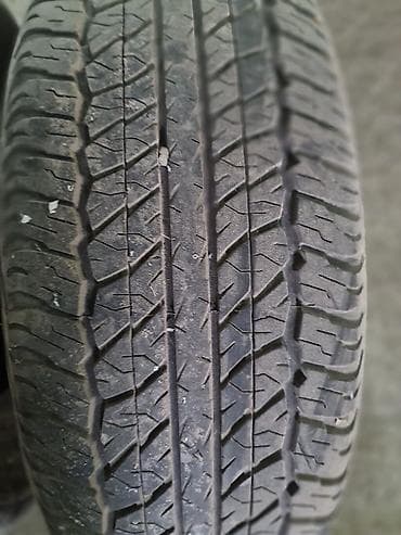65: Шины 265 / 65 / R 17, Всесезонная, Комплект, Внедорожные (АТ/МТ), Dunlop — 2