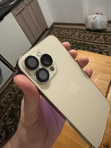 IPhone 13 Pro Max, Золотой, Чехол, 83 %