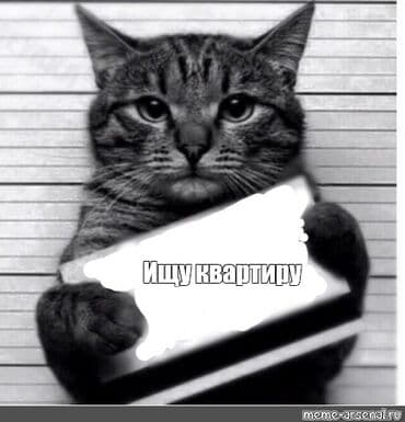 квартира керек рабочий городок: Семейная пара(без детей) снимет 1 комнатную квартиру или студию. Без — 1