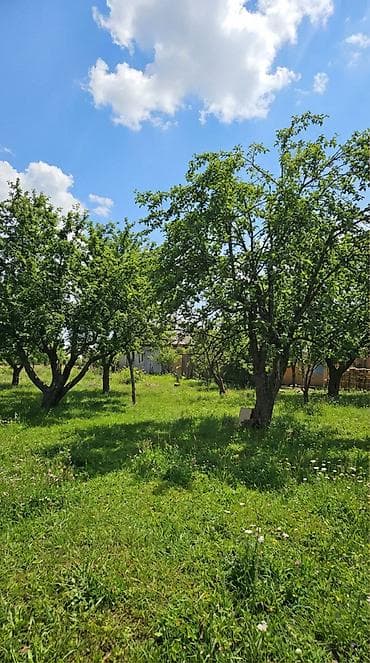 кок жар ул тулеева: 30 соток, Для бизнеса, Красная книга — 3