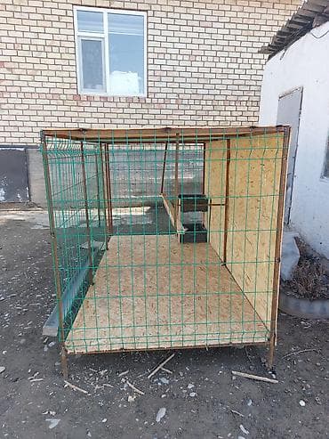 дробилка для корм: Тоокторго Тоок Капас узуну 2,50 турасы 1,25 Бийиктиги 1,25 Шаар — 6