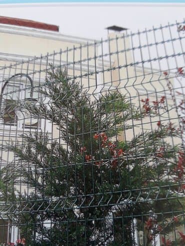 конек на забор: Заборлор жана тосмолор — 3