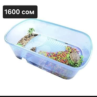 тоок сатып алам: Аквариумы и емкости для содержания черепах/мелких водных питомцев. 1) — 10