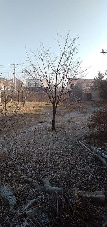 Земельные участки: 8 соток — 1