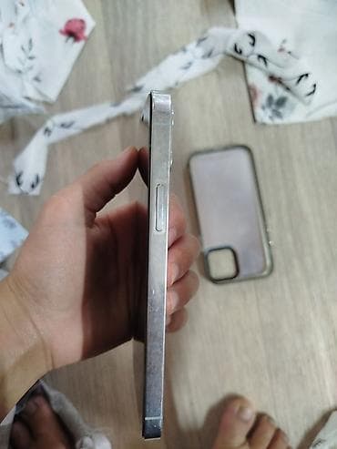 IPhone 12 Pro, Серебристый, Чехол
