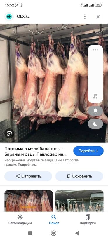 сатам алмашам: Сатып алам | Кочкорлор, койлор | Союуга, этке — 2
