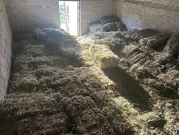 ящик для хранения: Сено в тюках - Вид: луговое/злаковое сено в прямоугольных тюках. - — 4