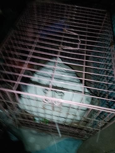 унитас бу: Унитаз продаю — 2