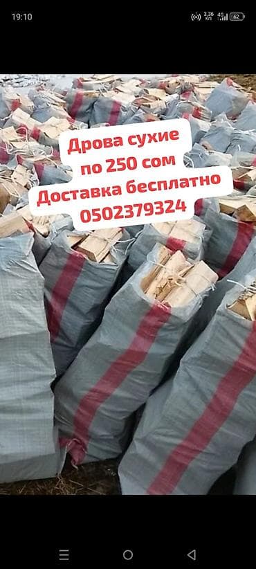 Дрова at lalafo.kg Дрова