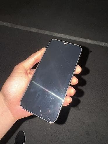 IPhone 12 Pro Max, Б/у, 256 ГБ, Графит, Чехол, 78 %