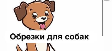 колбасный сех: Кости — 1