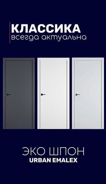 solutions third edition: Межкомнатные двери URBAN EMALEX — серия «Классика». Отделка: экошпон — 1