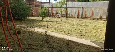 работы охраны: Уборка территории — 2